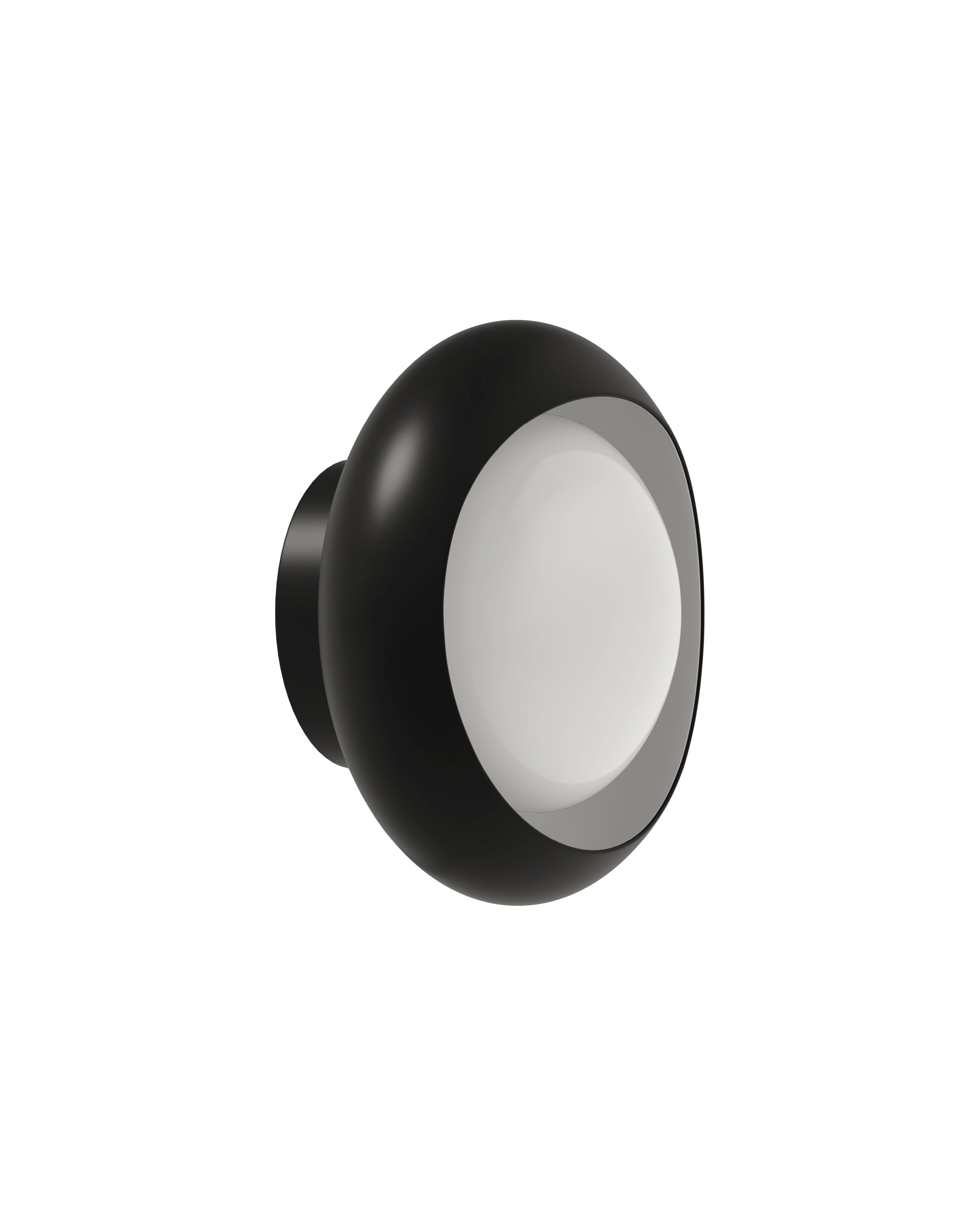 CORNEA / Wall 150